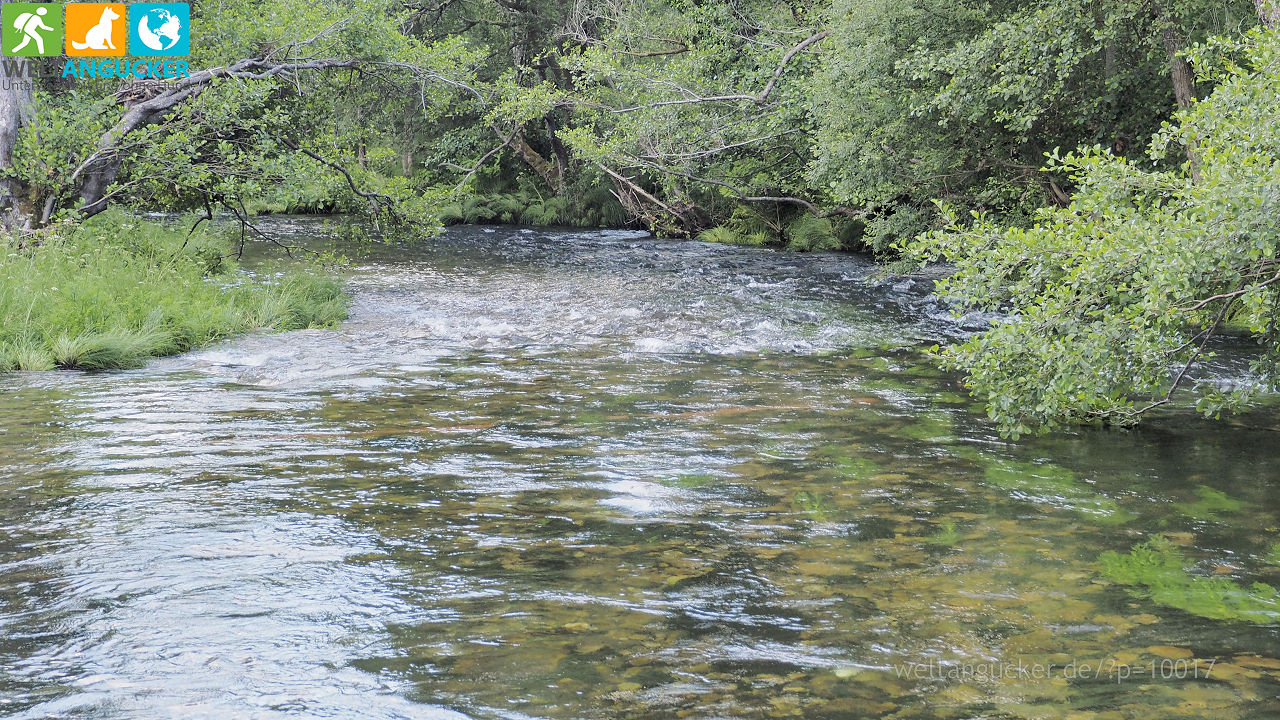 3/29 - Senda fluvial do río Tea (Mondariz-Balneario, Galicien, Spanien)