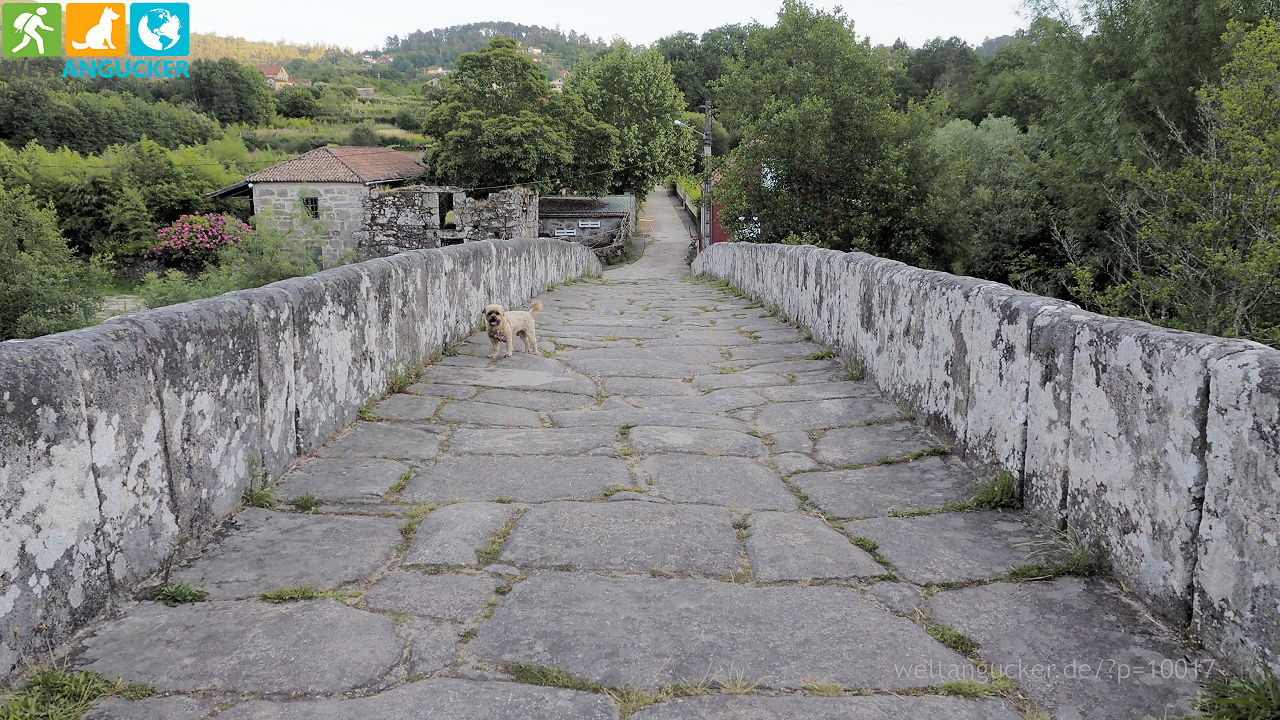 24/29 - Ponte de Cernadela (Senda fluvial do río Tea, Mondariz-Balneario, Galicien, Spanien)