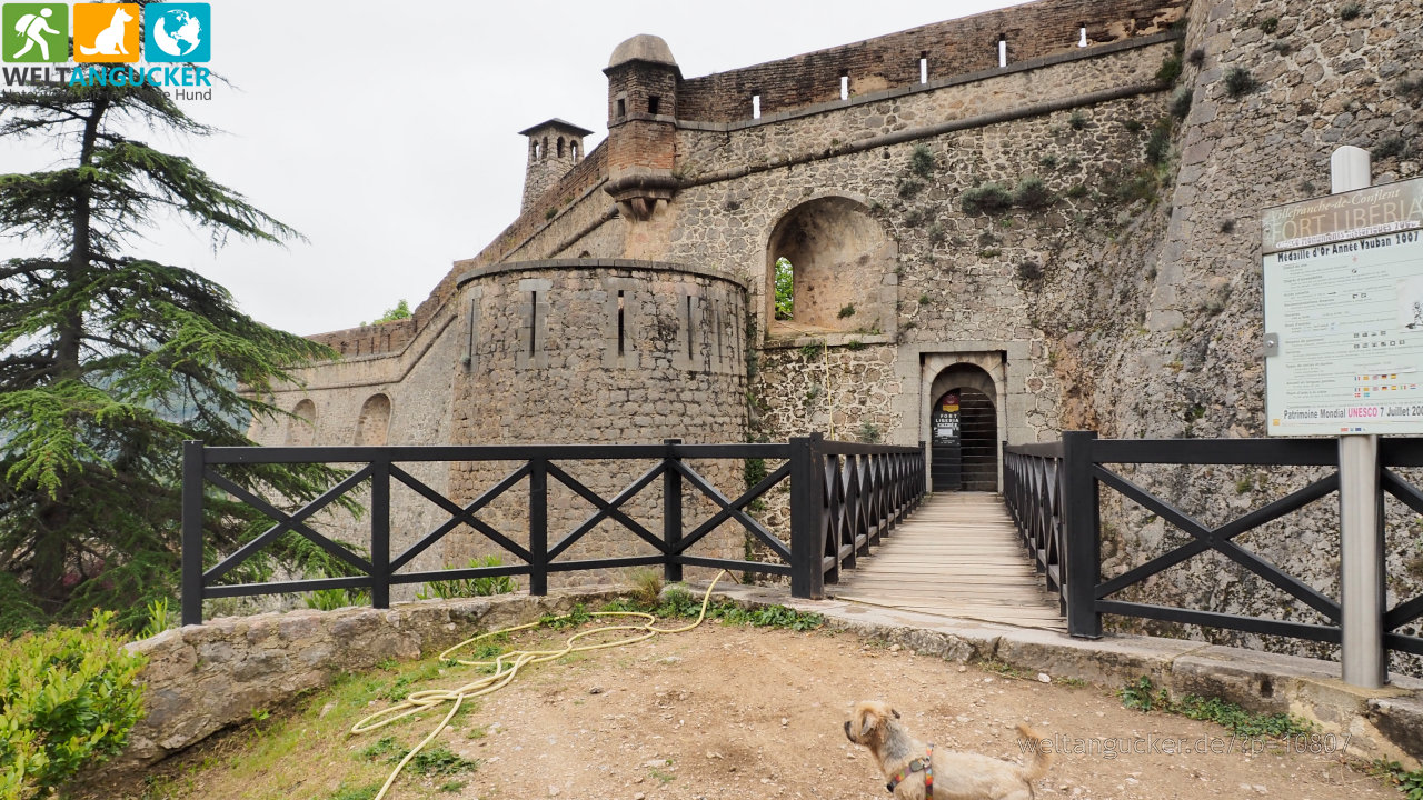 Fort Liberia - Villefranche-de-Conflent (Pyrénées catalanes, Pyrénées-Orientales, Occitanie, Frankreich)