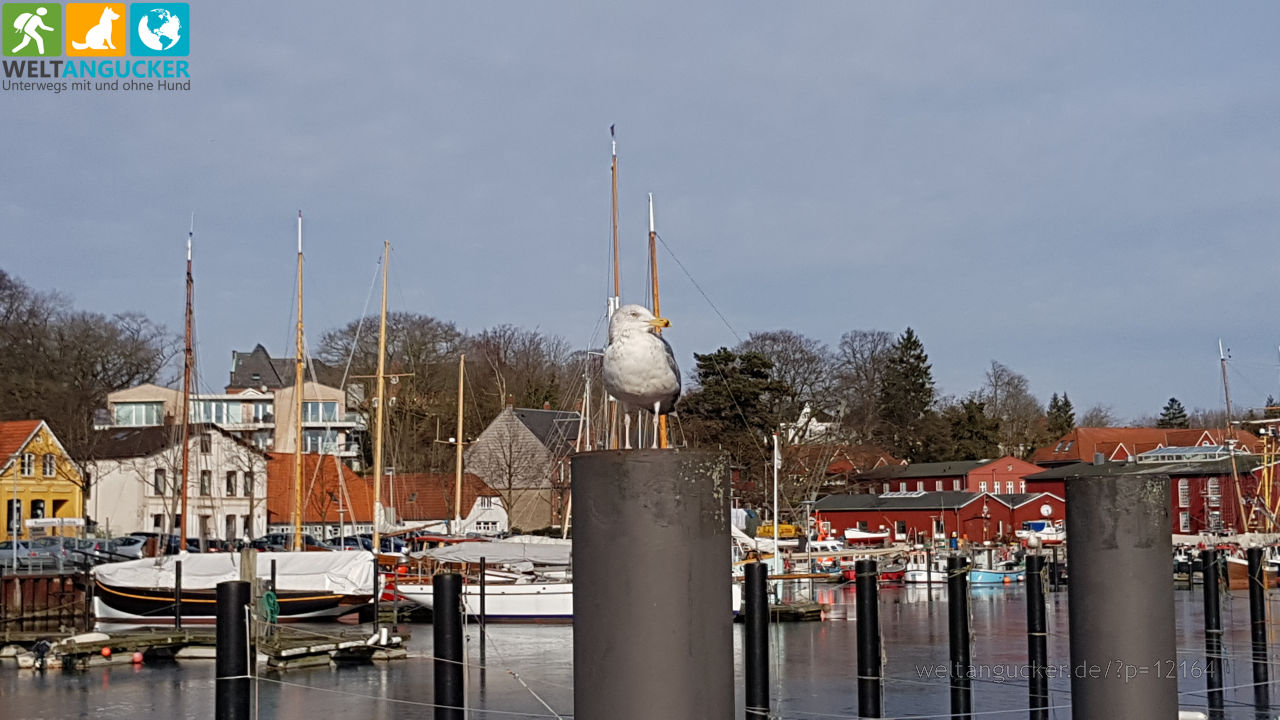 Eckernförde (Schleswig-Holstein)