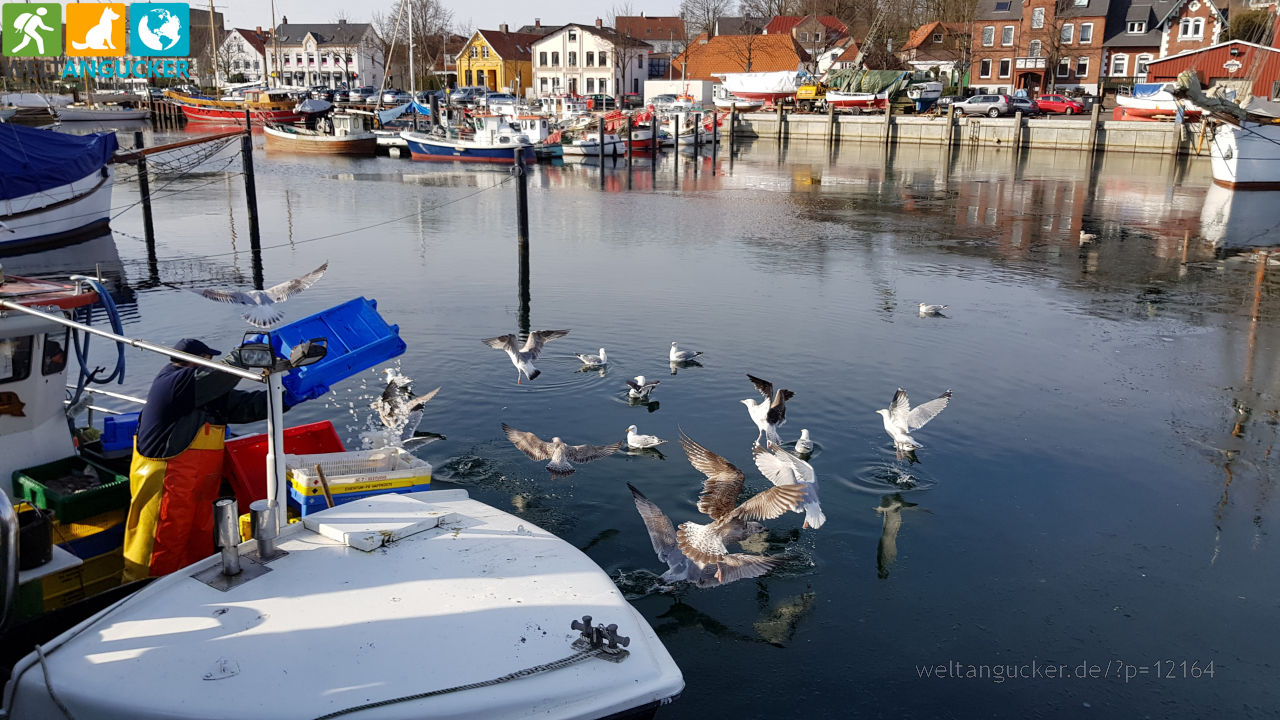 Eckernförde (Schleswig-Holstein)
