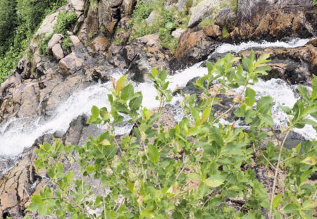 Špindlerův Mlýn – Labský vodopád Spindlermühle – Elbfall