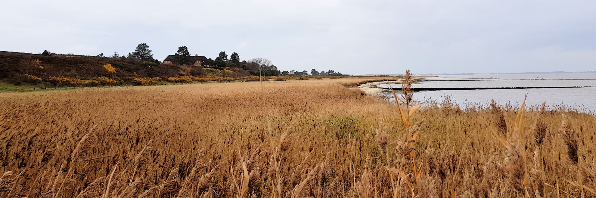 Sylt: Von Kampen Mitte zum Watt