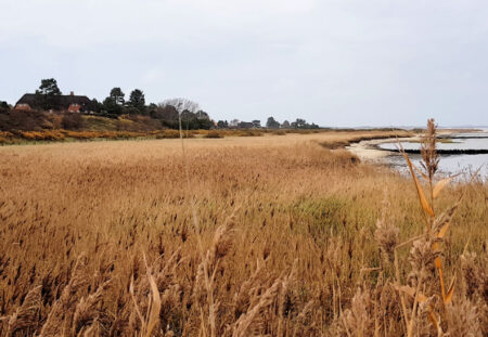 Sylt: Von Kampen Mitte zum Watt