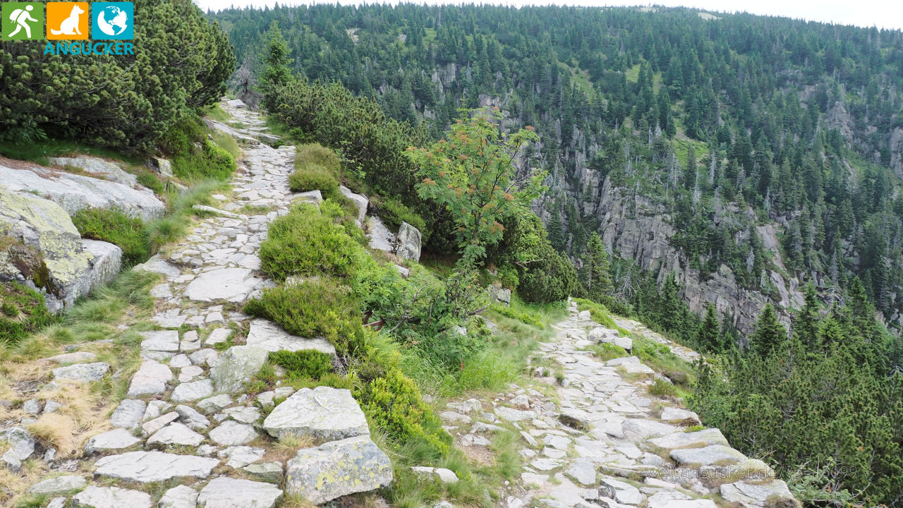 7/29 - Serpentinen auf dem blauen Wanderweg durch den Elbgrund (Spindlermühle, Riesengebirge, Tschechien)