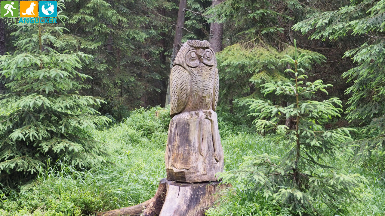 24/29 - Holzschnitzerei im Elbgrund bei Spindlermühle (Riesengebirge, Tschechien)