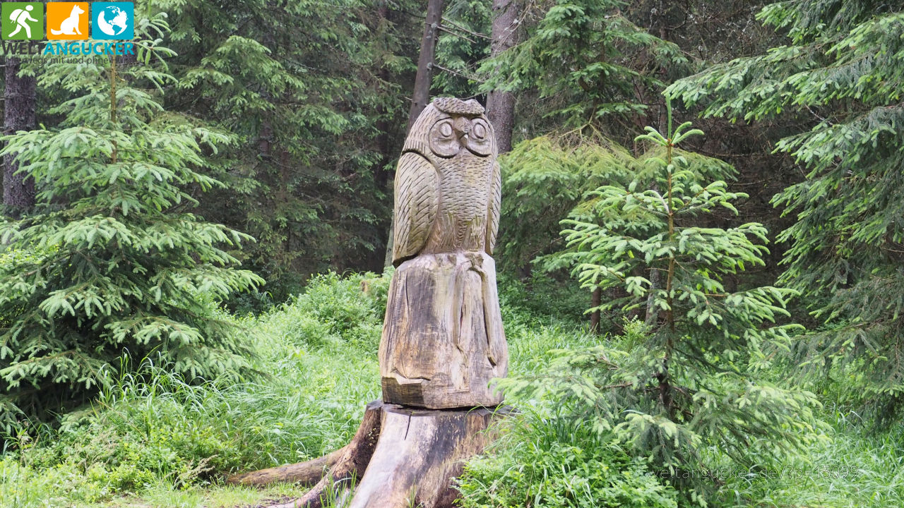 Holzschnitzerei im Elbgrund bei Špindlerův Mlýn / Spindlermühle (Riesengebirge, Tschechien)