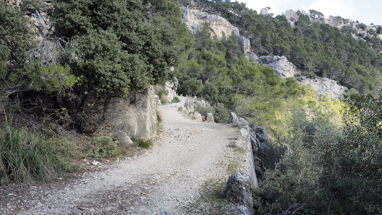 Wanderweg zum Castell d'Alaró (Mallorca, Spanien)