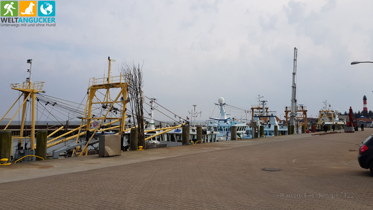 Hafen von Hörnum (Sylt, Schleswig-Holstein)