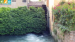 Canale della Pescheria in Treviso (Venetien, Italien)