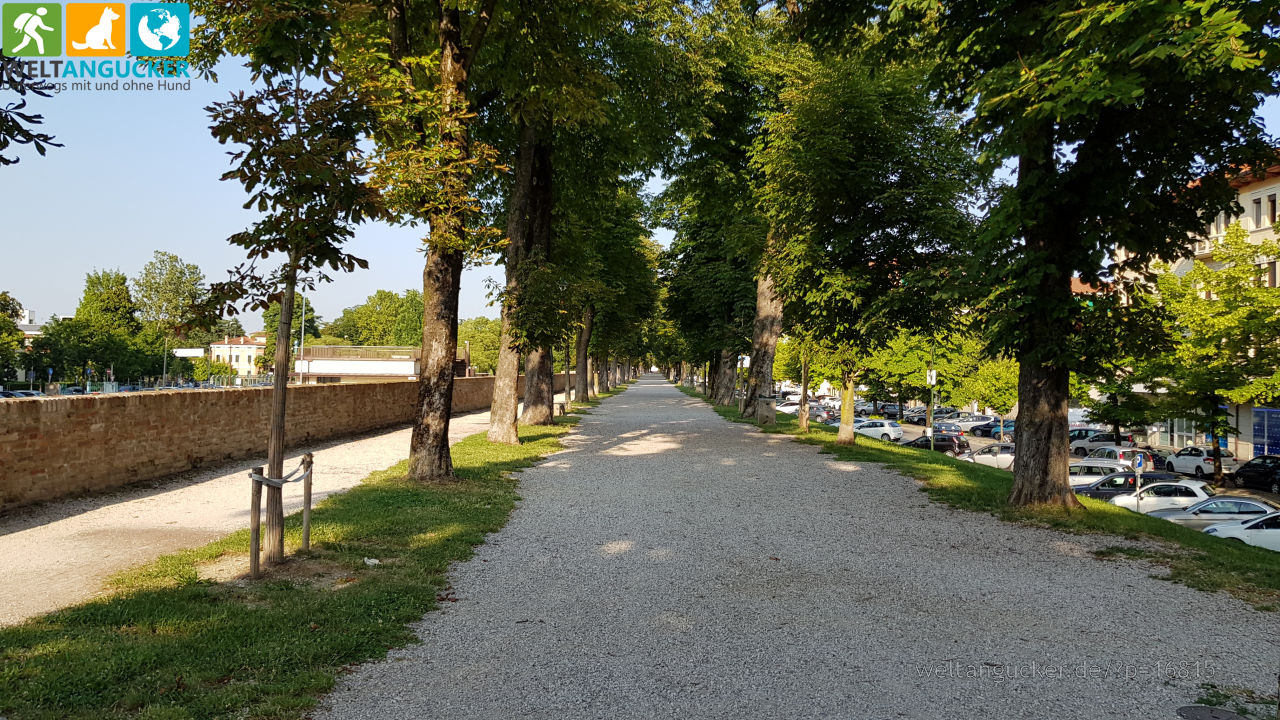 Stadtmauer in Treviso (Venetien, Italien)