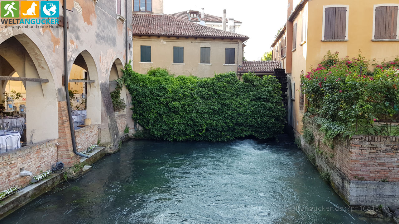 Canale della Pescheria in Treviso (Venetien, Italien)