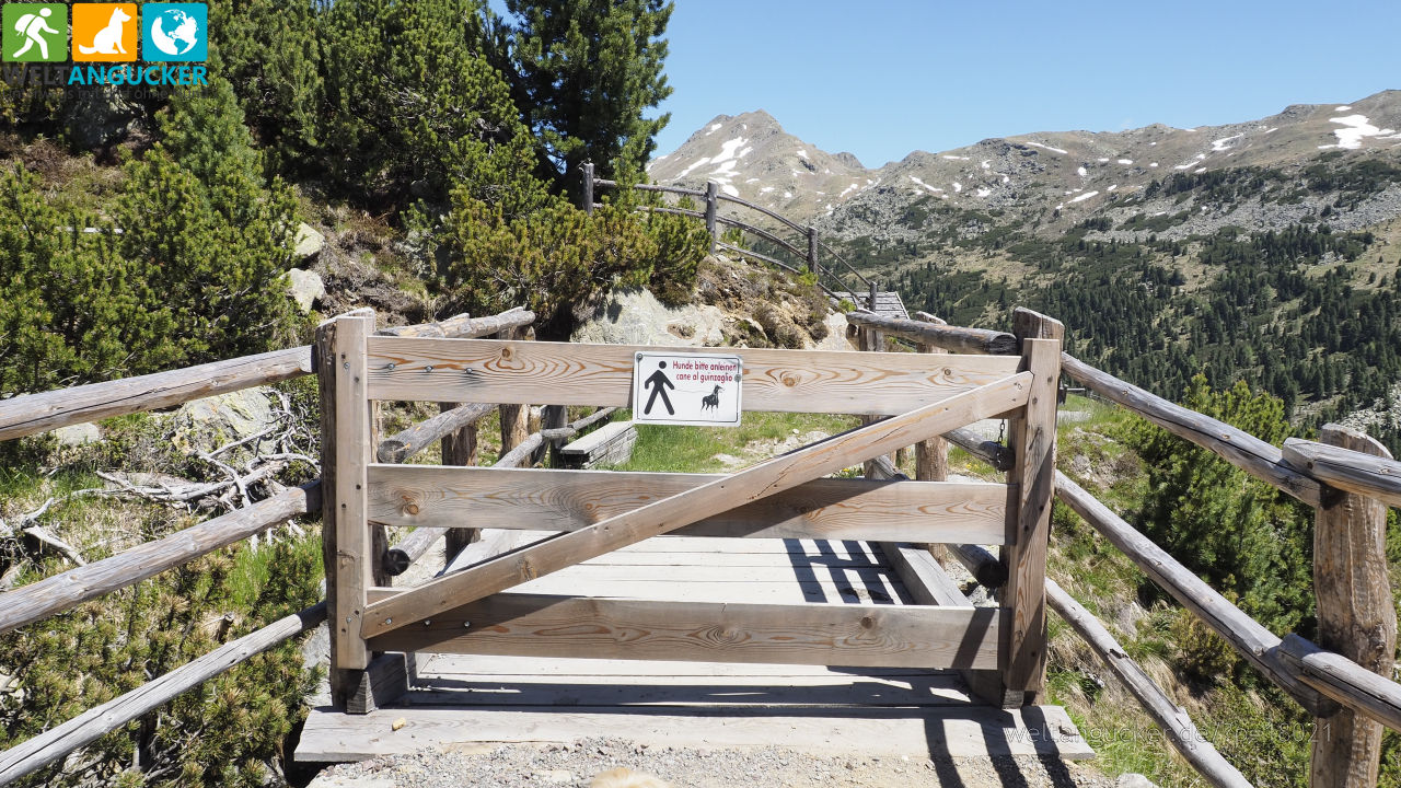 4/5 - Zugang zur Getrumalm am Wanderweg 11 in Reinswald (Sarntal, Südtirol, Italien)