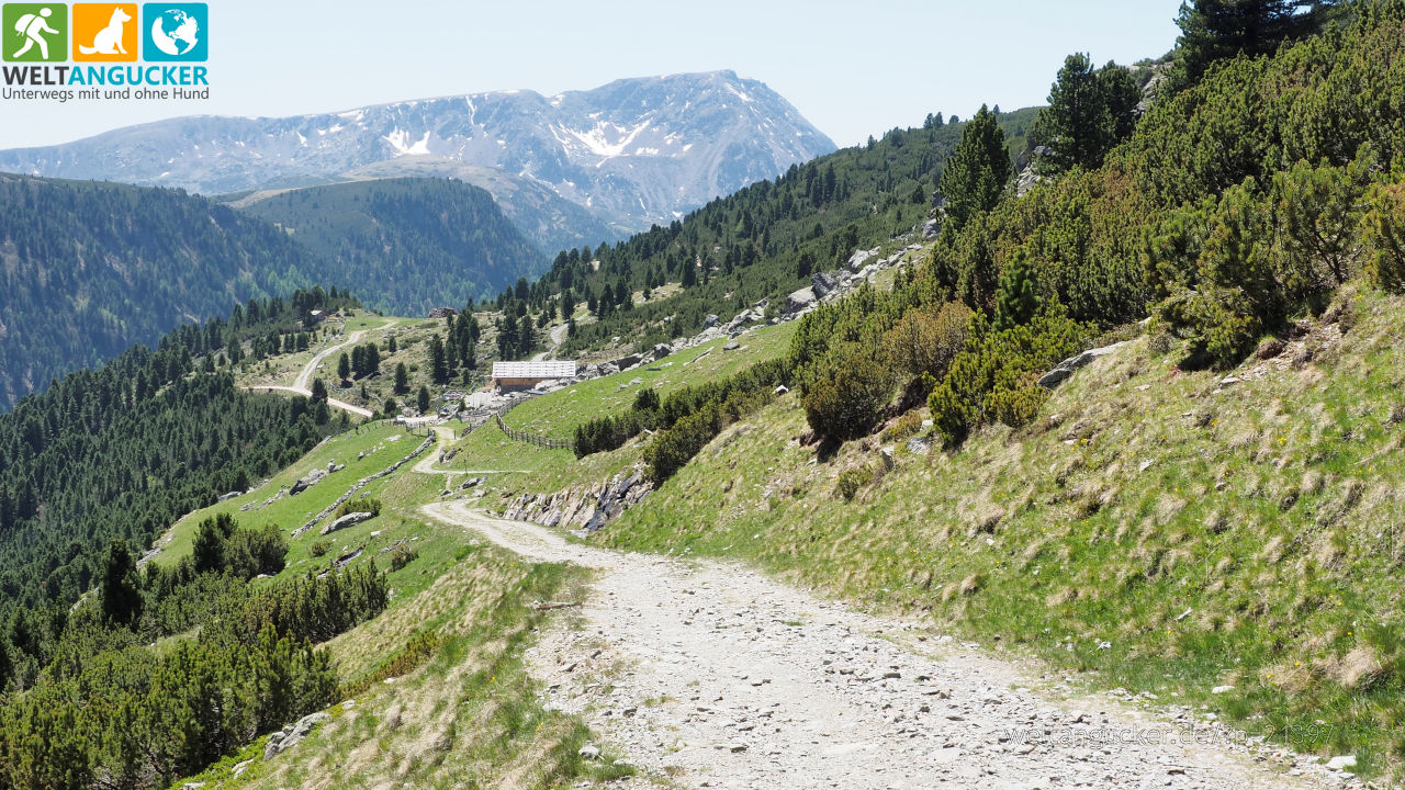 Blick auf die Getrumalm vom Wanderweg 7 (Sarntal, Südtirol, Italien)