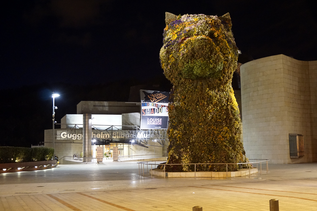 Guggenheim-Museum in Bilbao bei Nacht (Baskenland, Spanien)