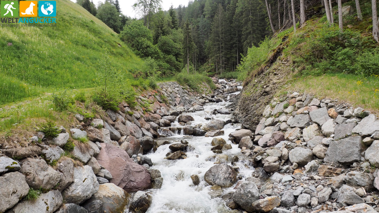 6/12 - Getrumbach am Wanderweg 7a zu den Reinswalder Mühlen (Unterreinswald, Südtirol, Italien)