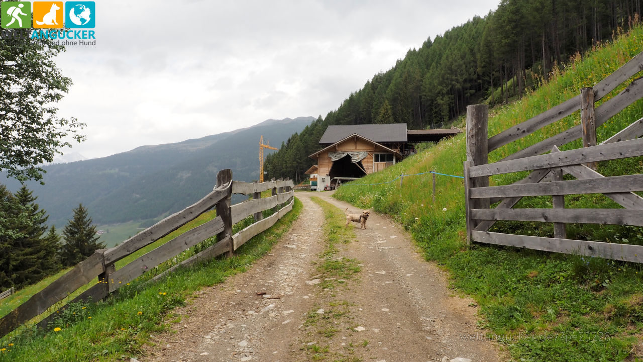 4/14 - Hinterproslhof in Reinswald (Sarntal, Südtirol, Italien)