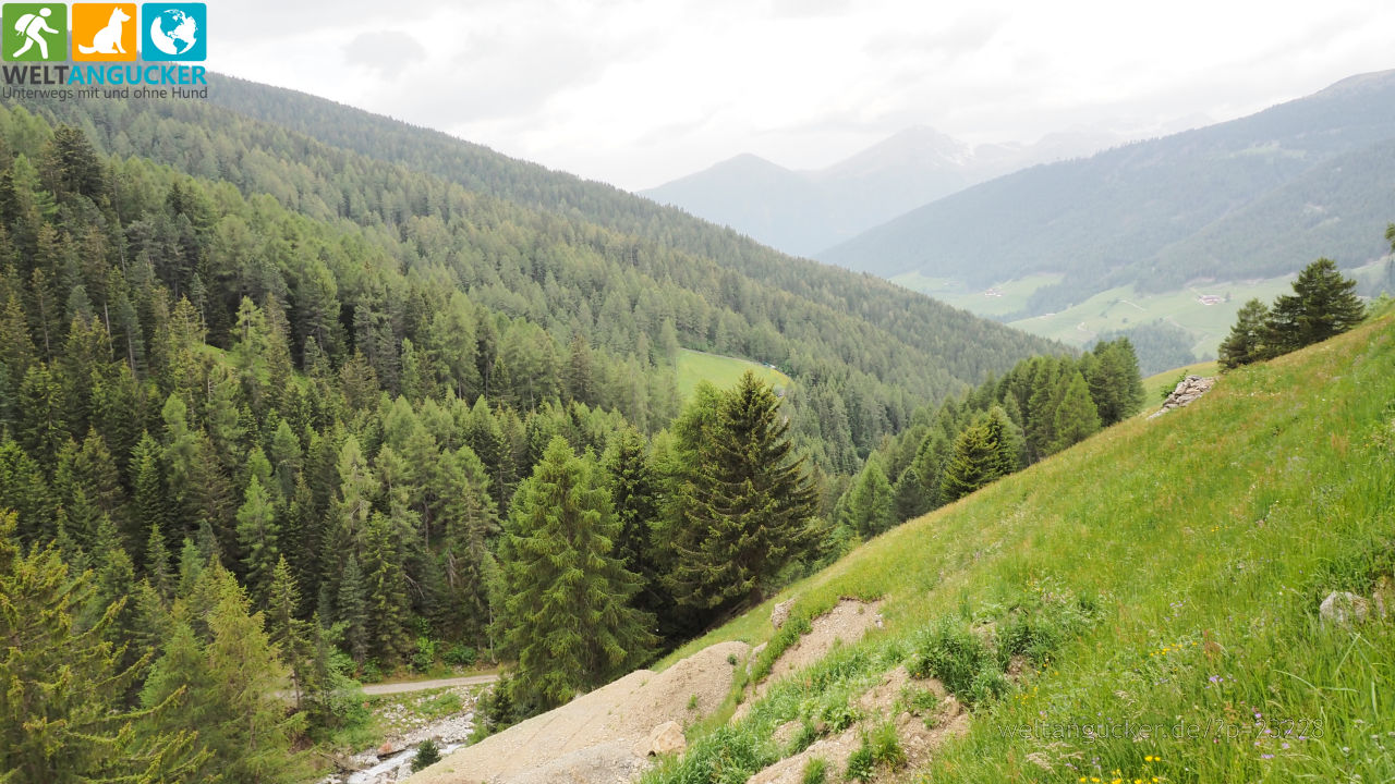 5/14 - Blick übers Tal in Unterreinswald (Sarntal, Südtirol, Italien)