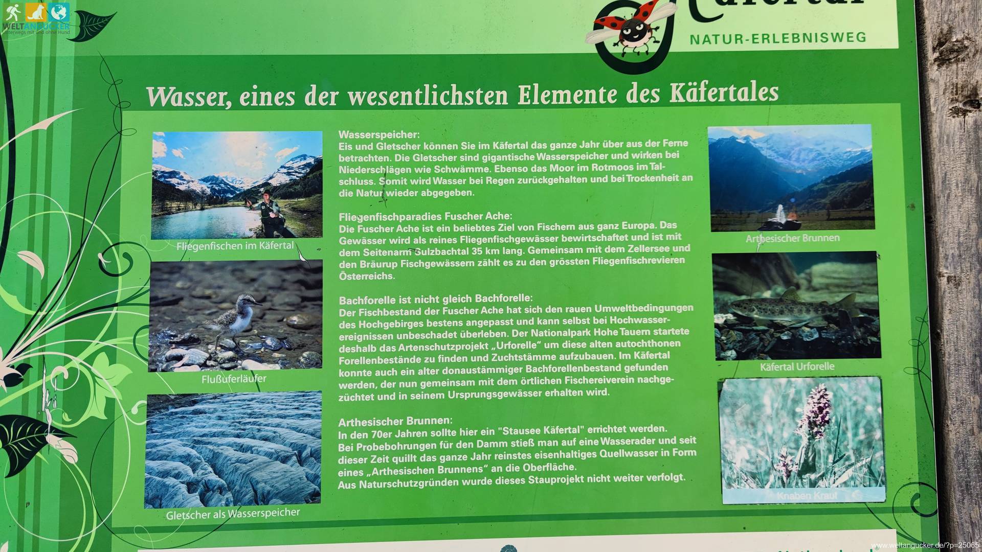 Ferleiten: Schautafel an der Station Wasserspielplatz im Käfertal