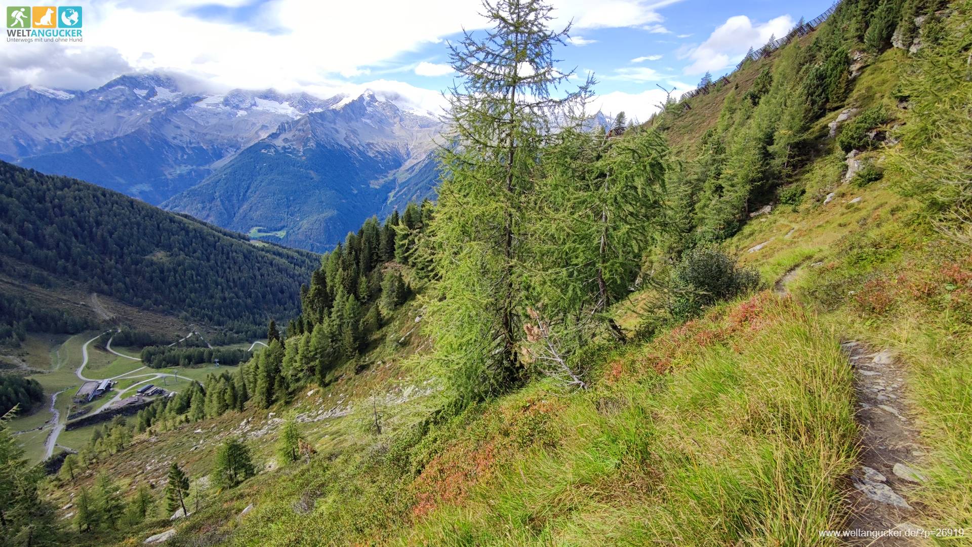 Blick auf die Zillertaler Alpen und das Kleinklausental vom Hangweg am Wanderweg 33B