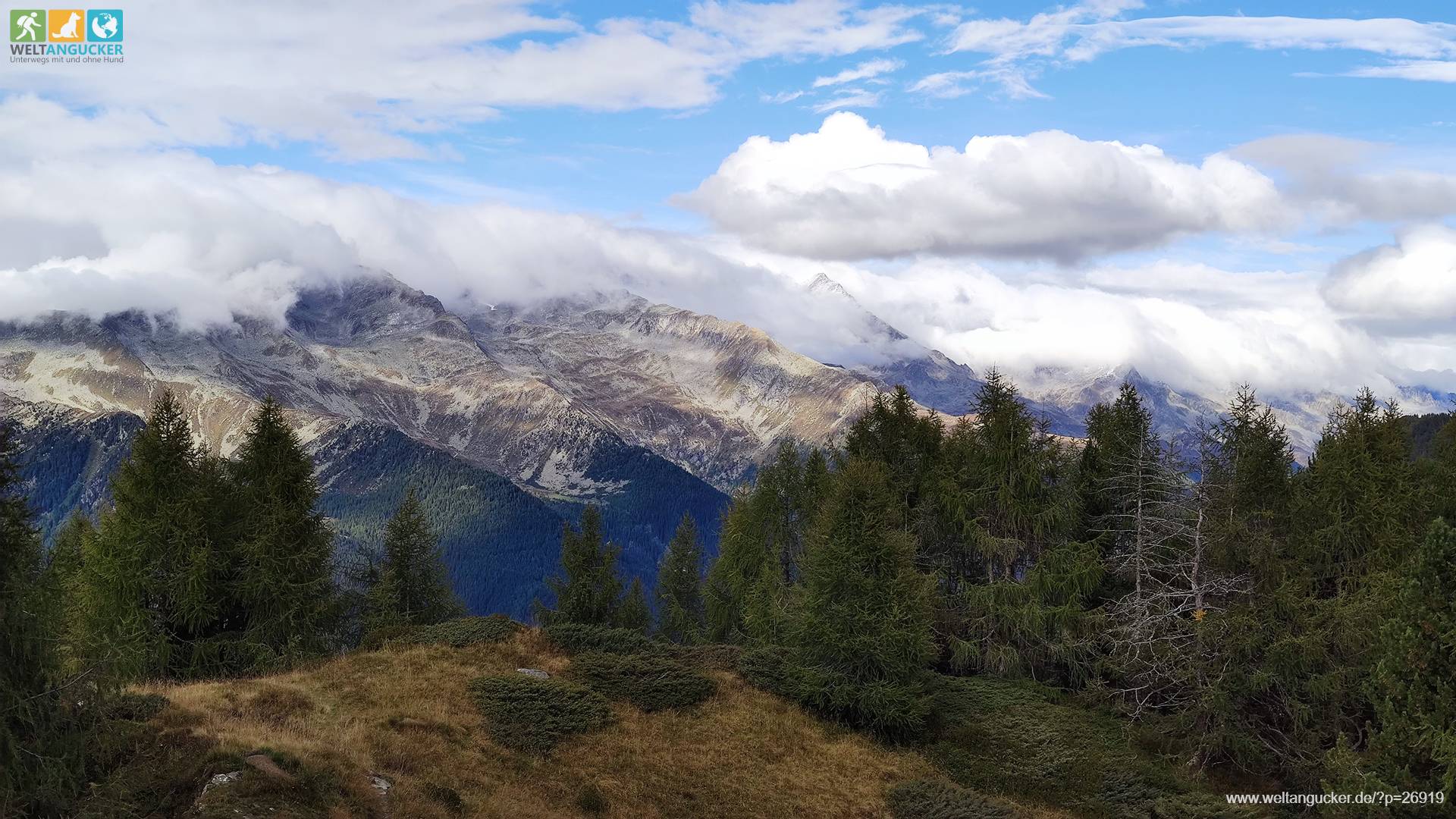 Blick auf die Zillertaler Alpen an der Breitrast im Ahrntal