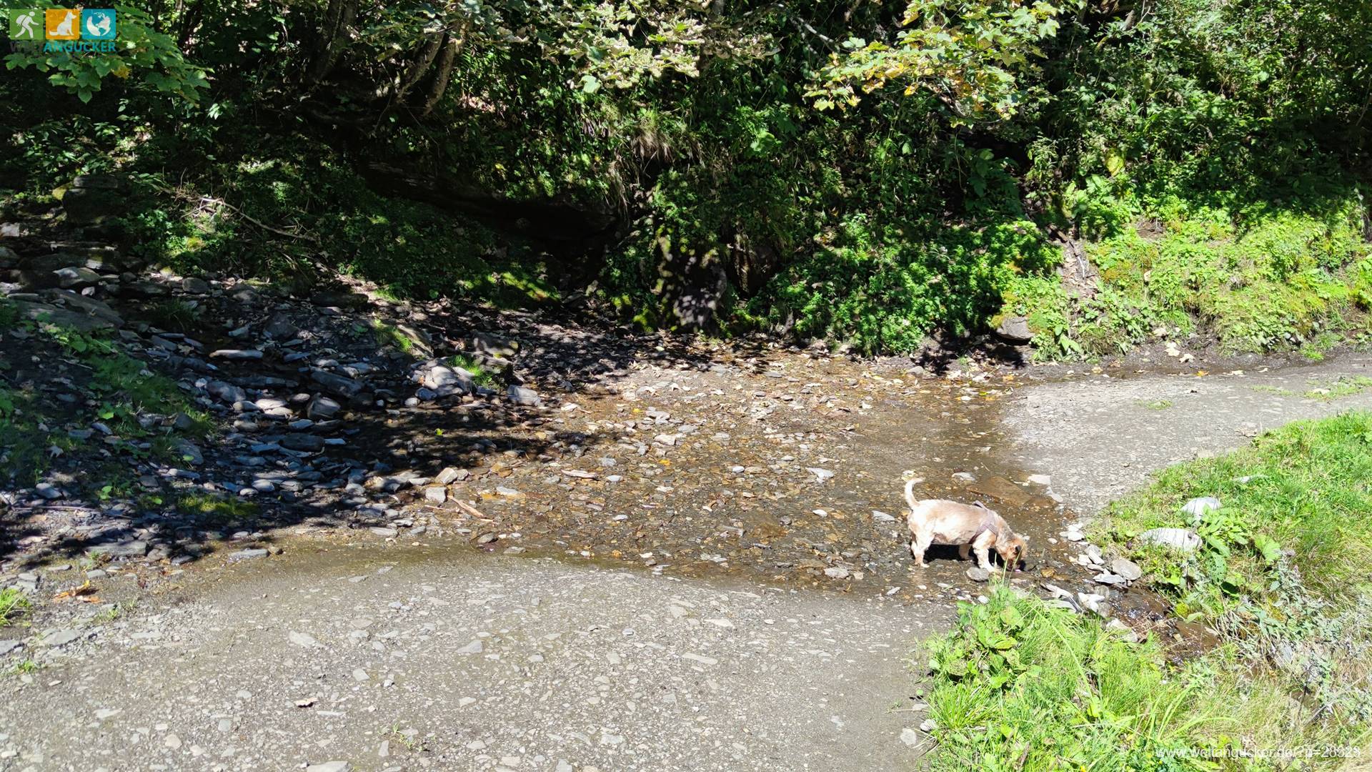 Ferleiten: Rinnsal am Wasserfall Erlebnisweg Wanderweg 3D