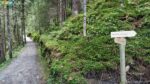 Waldweg zur Fürstenquelle in Bad Fusch