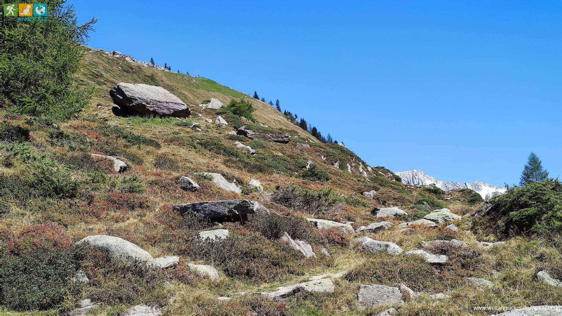 1/7 - Krimmler Tauernweg mit Fahne der Tauernalm im Südtiroler Naturpark Rieserferner-Ahrn
