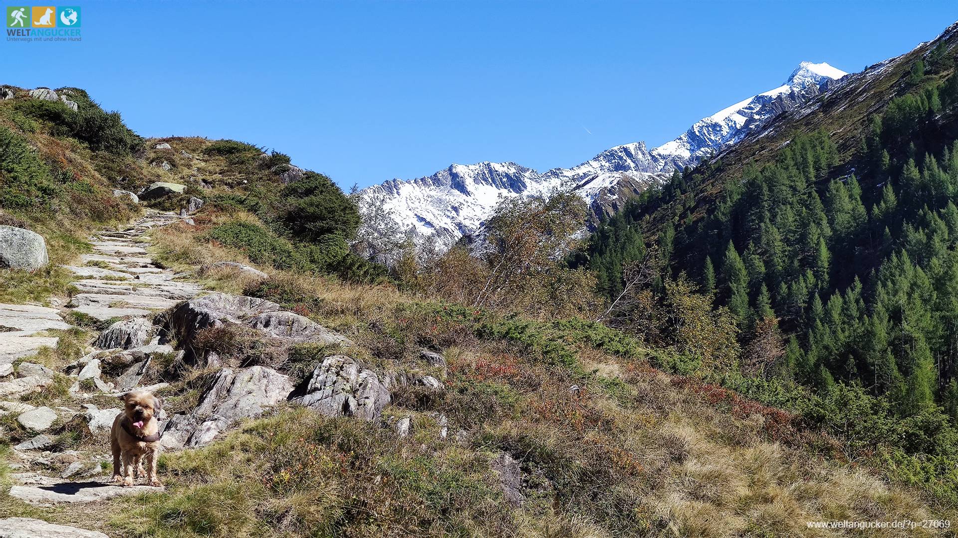 2/7 - Krimmler Tauernweg im Südtiroler Naturpark Rieserferner-Ahrn