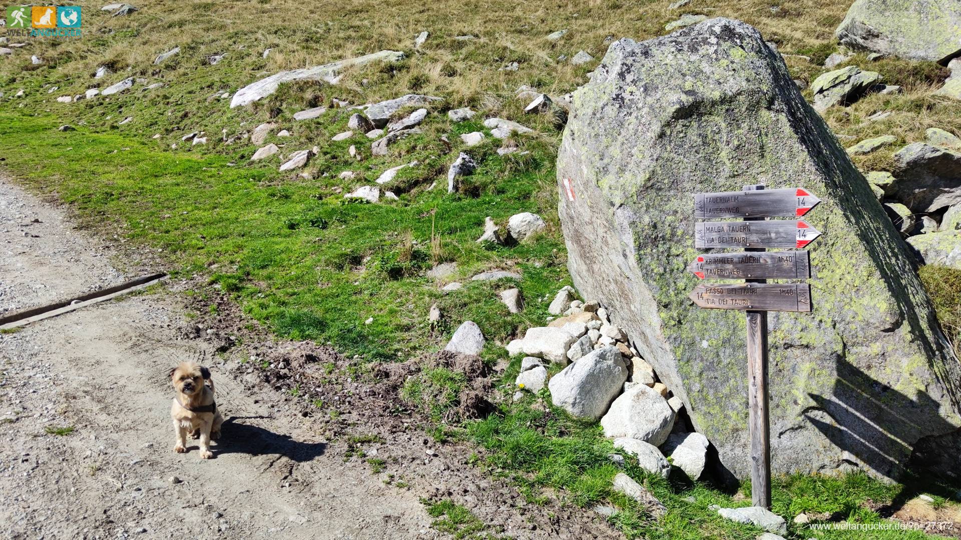 1/10 - Wegweiser am Tauernweg zum Krimmler Tauern Pass im Südtiroler Naturpark Rieserferner-Ahrn