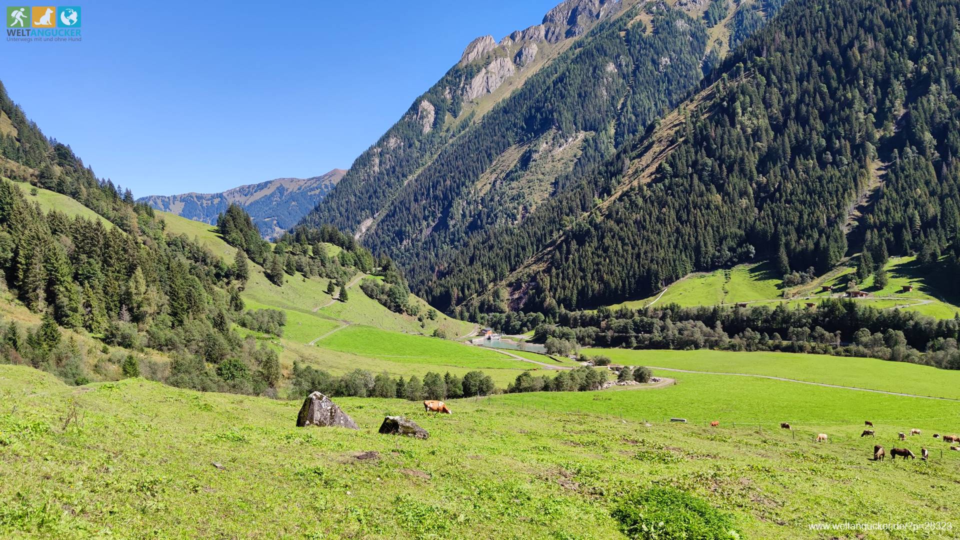 Ferleiten: Blick zur Mündung des Walcher Bachs in die Fuscher Ache