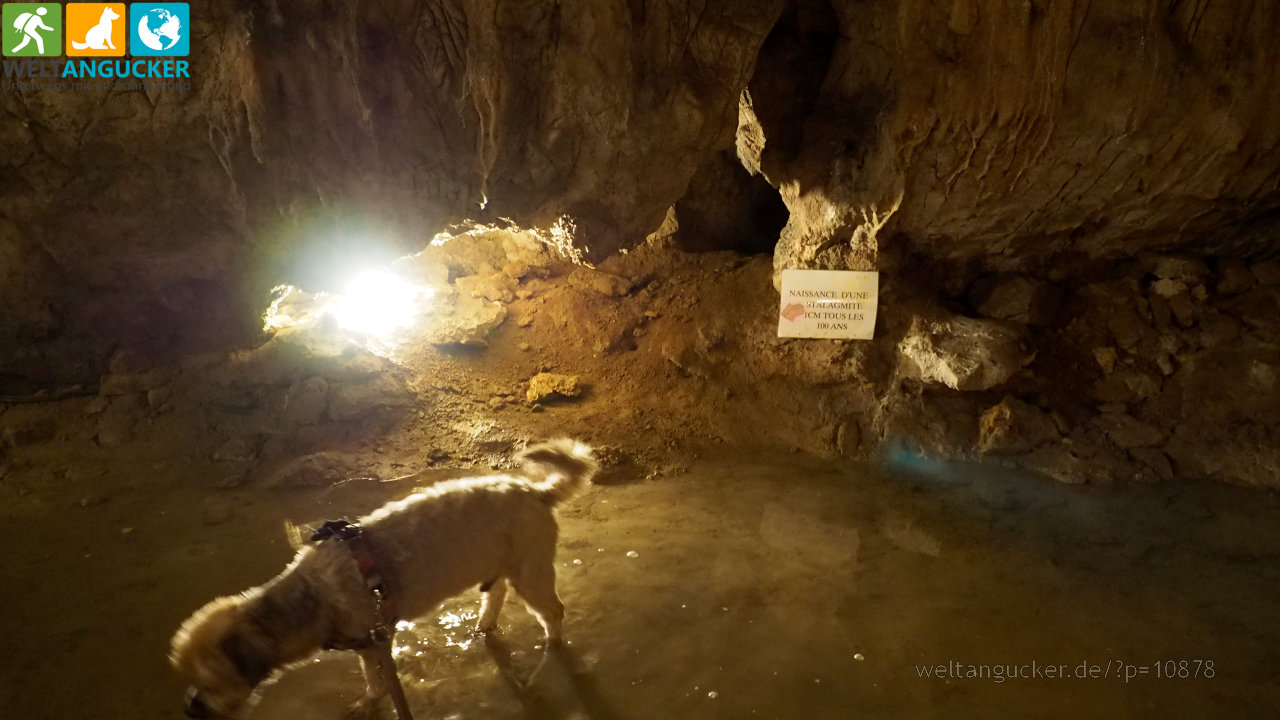 7/25 -  &quot;Geburt eines Stalagmiten&quot;, Grotte fortifiée Cova Bastera, Villefranche-de-Conflent (Pyrénées-Orientales, Okzitanien, Frankreich)