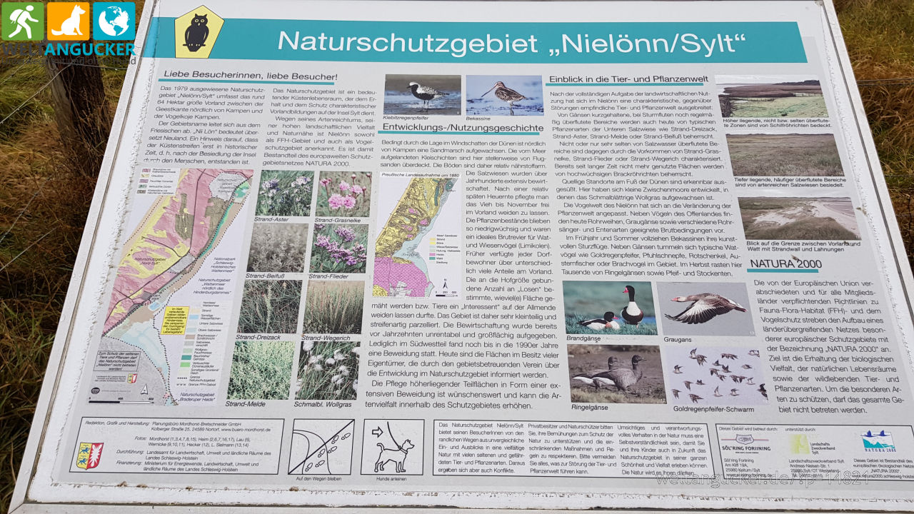 7/14 - Naturschutzgebiet Nielönn auf Sylt in Kampen (Sylt, Schleswig-Holstein)
